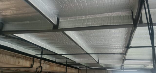 WhatsApp Image 2025-12-27 at 12.54.38 PM