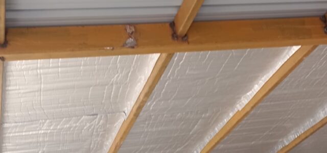 WhatsApp Image 2025-12-27 at 12.54.40 PM (2)