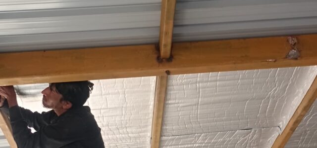 WhatsApp Image 2025-12-27 at 12.54.40 PM